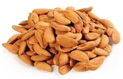 Dried Almond Nuts, Packaging Type : Loose