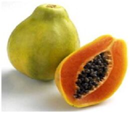Common Papaya, Style : Fresh