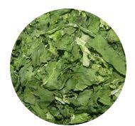 Spinach - Leaves