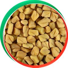 Fenugreek Seeds, for Agriculture, Cooking, Style : Dried, Natural