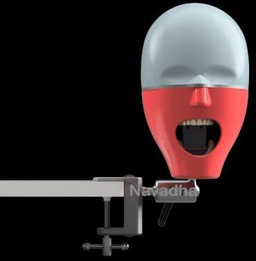 Dental Manikin Phantom Head