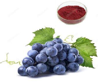 Grape skin Extract