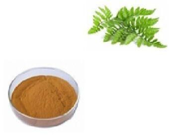 Polypodium Extract