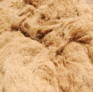 coir fiber