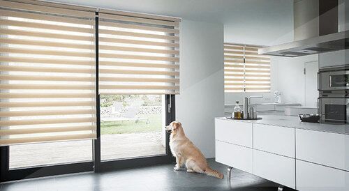 Horizontal PVC Roller Blinds