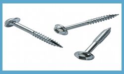 Stainless Steel Screws