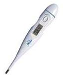 Thermometers: