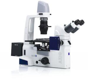 Stereozoom Microscopes