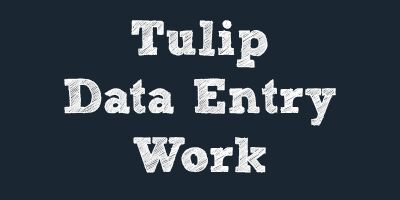 Tulip Ware House Offline Data Entry Work