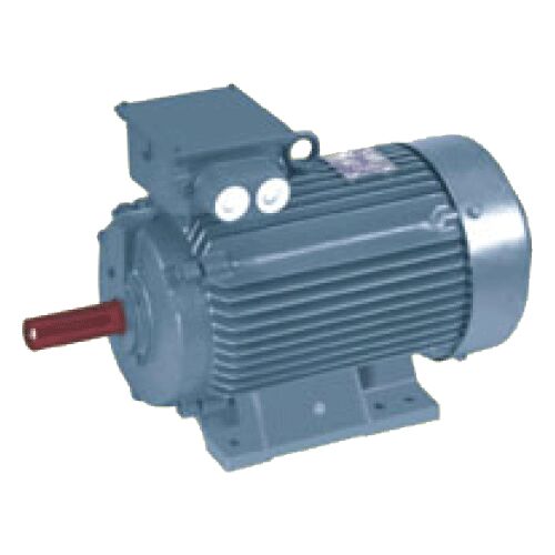 CAGE INDUCTION MOTORS