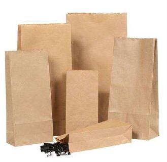 Detpak paper bags, Capacity : 1Kg - 5Kg