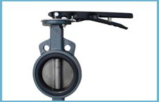 Cast Iron Butterfly Valve