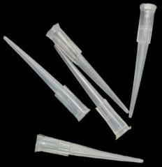 White Micro Pipette Tips 200ul, for Chemical Laboratory, Size : Standard