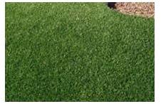 Artificial Grass