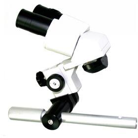 Assistant Microscope