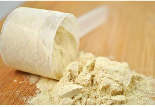 10% Whey Protein Concentrate Powder, Feature : Energy Booster, Gluten Free, Purity
