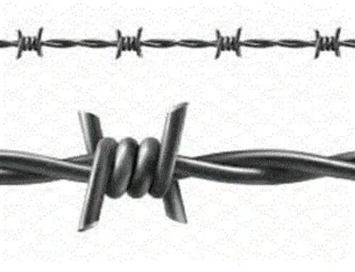 Iron Barbed Wire, Surface Treatment : Galvanized
