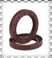 Viton Oil Seals