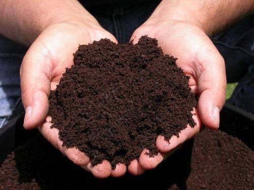 Bio Vermicompost