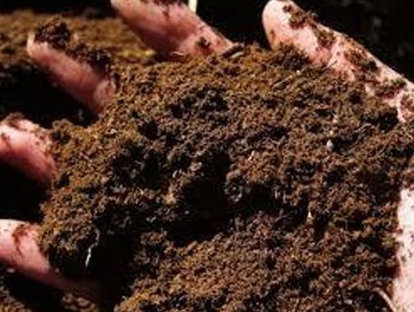 Natural Brown Vermicompost, for Agriculture, Purity : 100%