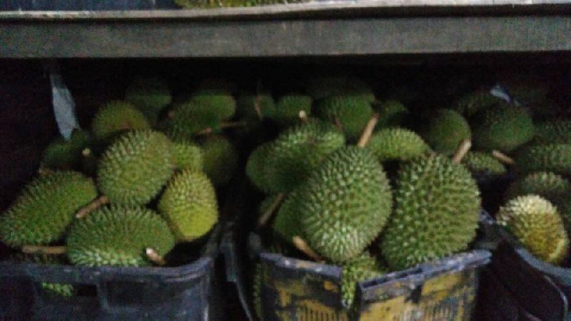 Frozen Durian Fruits