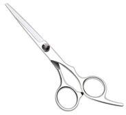 Salon Scissors, Color : Silver