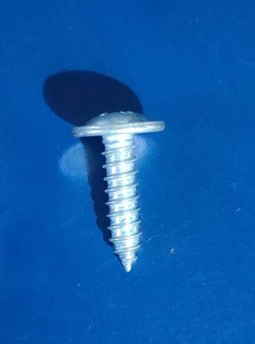Clips India Stainless Steel Self Tapping Screw, Packaging Type : Packet