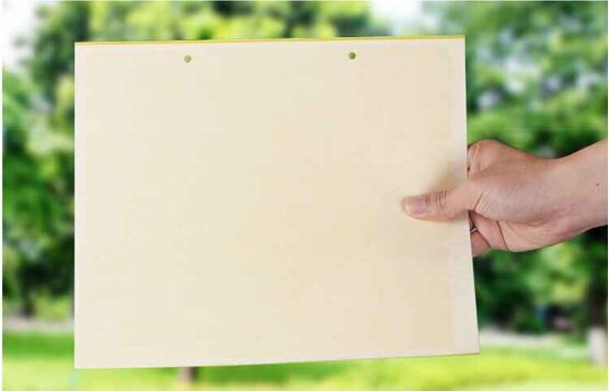 Yellow Sticky Trap 20cm*25cm