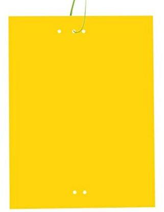 Insect Glue Trap, Color : Yellow