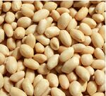 Blanched and Roasted Peanuts