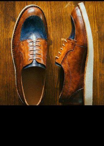Branded Shoes