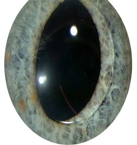 Equitron Steel Intraocular Lens