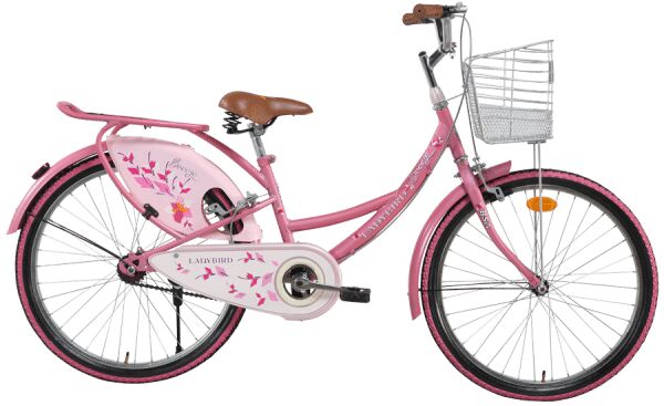 Ladybird Bicycle