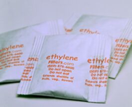 Ethylene sachets, Packaging Type : Paper