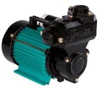 SELF PRIMING REGENERATIVE PUMPS