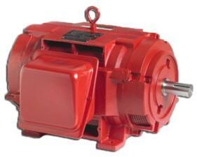 Electric Fire Pump Motors