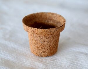 Coir Seedling Cup