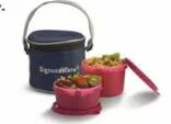Stainless Steel Lunch Box Kit, for Office, Capacity : 1000 ml