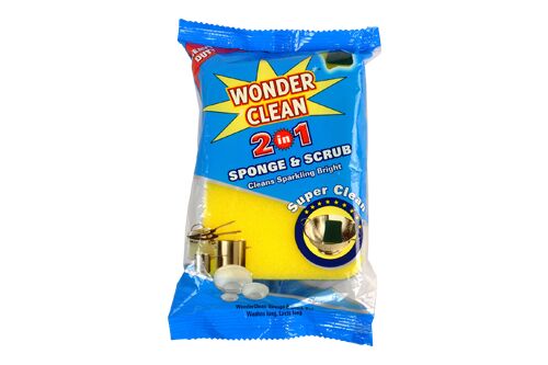 Clean Sponge Pad