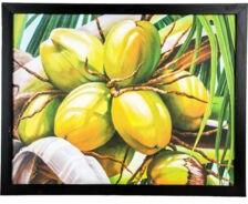 Coconut Wall Decor Canvas Oil Painting, Style : Abstract