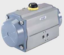 Pneumatic Rotary Drive