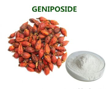 Geniposide high purity plant extract