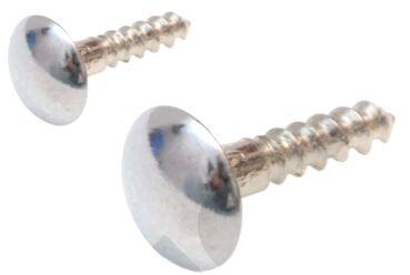 Stainless Steel Mirror Screw