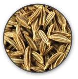 Cumin seeds, for Cooking, Packaging Size : 10kg, 20kg