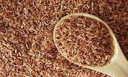 Hard Organic brown rice, Certification : FSSAI Certified