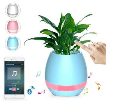 Zeals Flower Pots Bluetooth Speaker, Size : 114x114x117 mm
