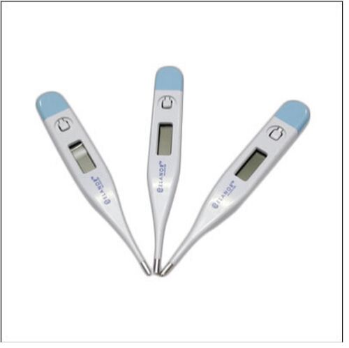 Portable Digital Thermometer