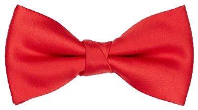 Mens Red Bow Tie