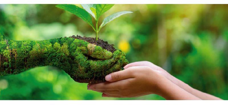 ISO 14001 Environmental Management System