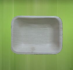 16.5X13.5cm Rectangular Areca Leaf Plate